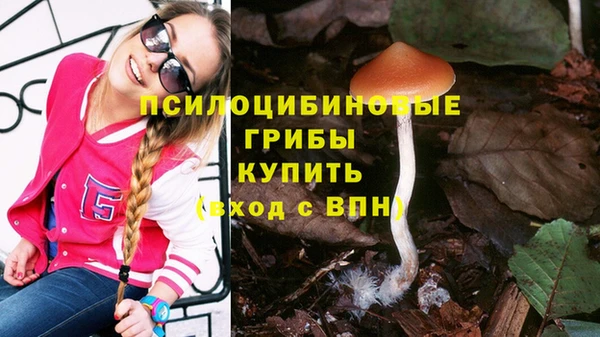 амфетамин Новозыбков