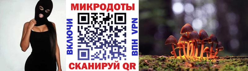 Псилоцибиновые грибы прущие грибы  Купить  Афипский 
