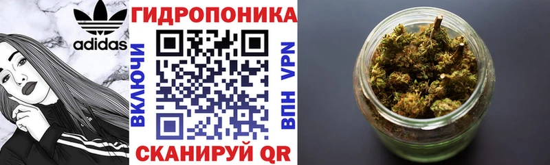 Бошки Шишки марихуана  Купить где  Афипский 
